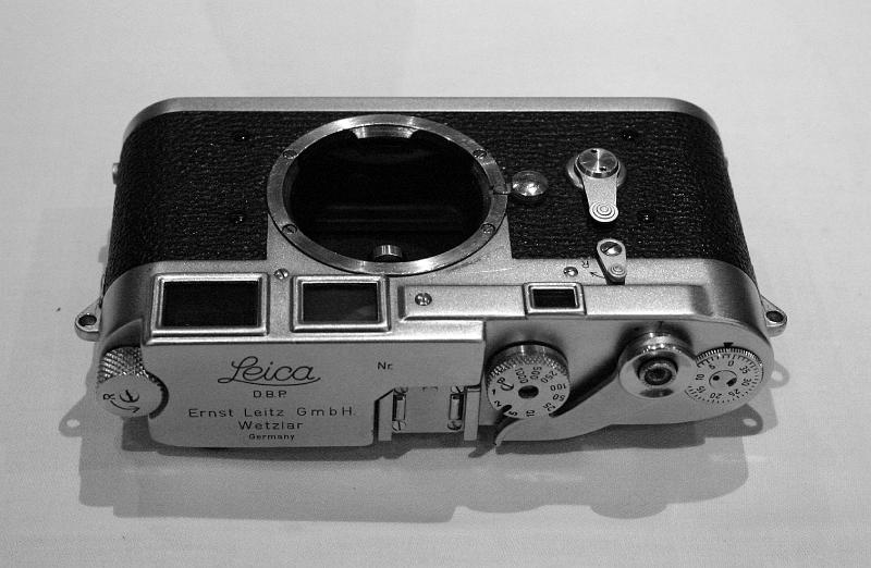 IMG_1977_bw.jpg