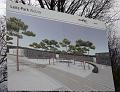 IMG_2041_ba