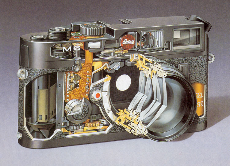 Schnittbild der Leica M6